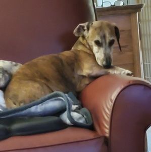 Meet your Posher, Barrett